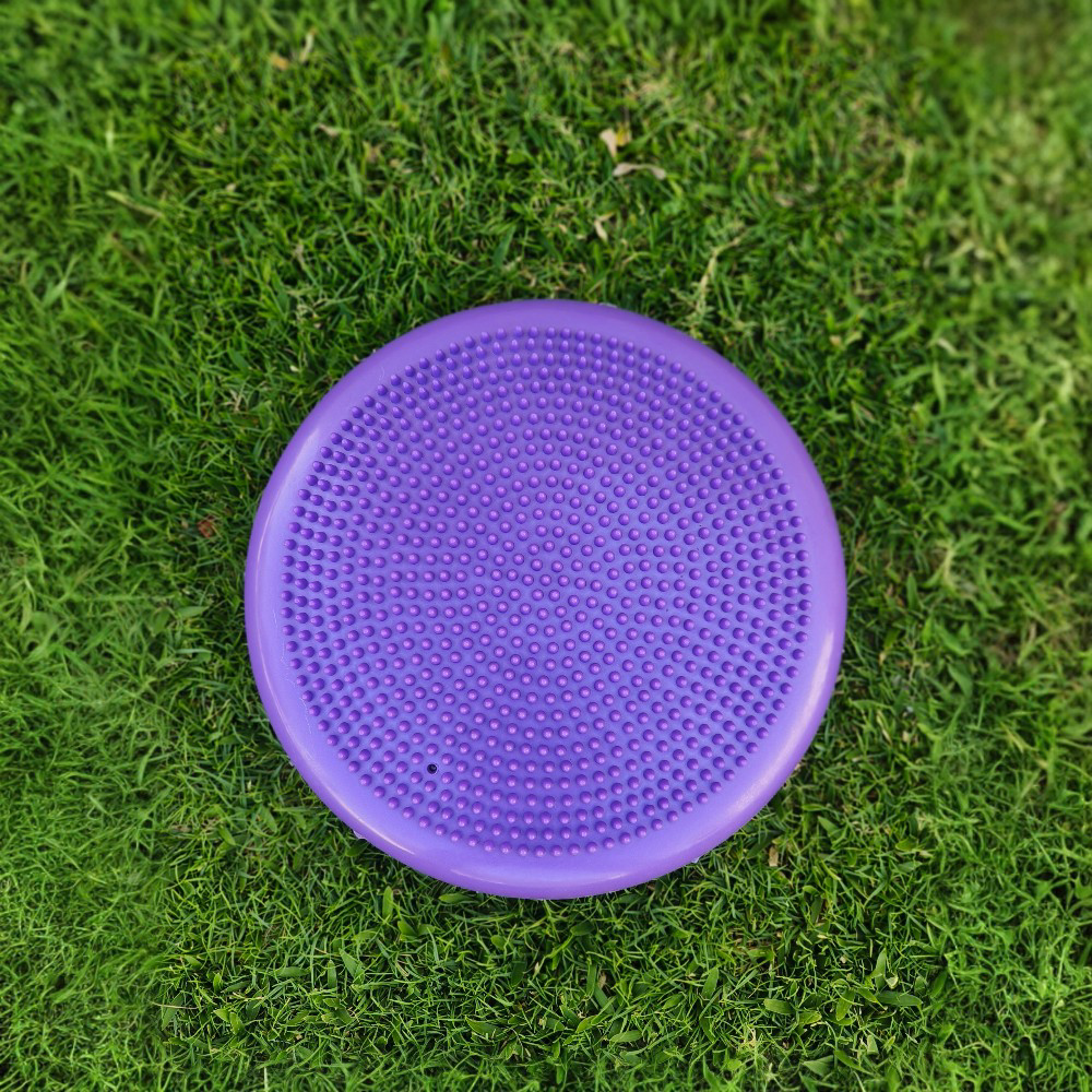 Balance Disc Pad