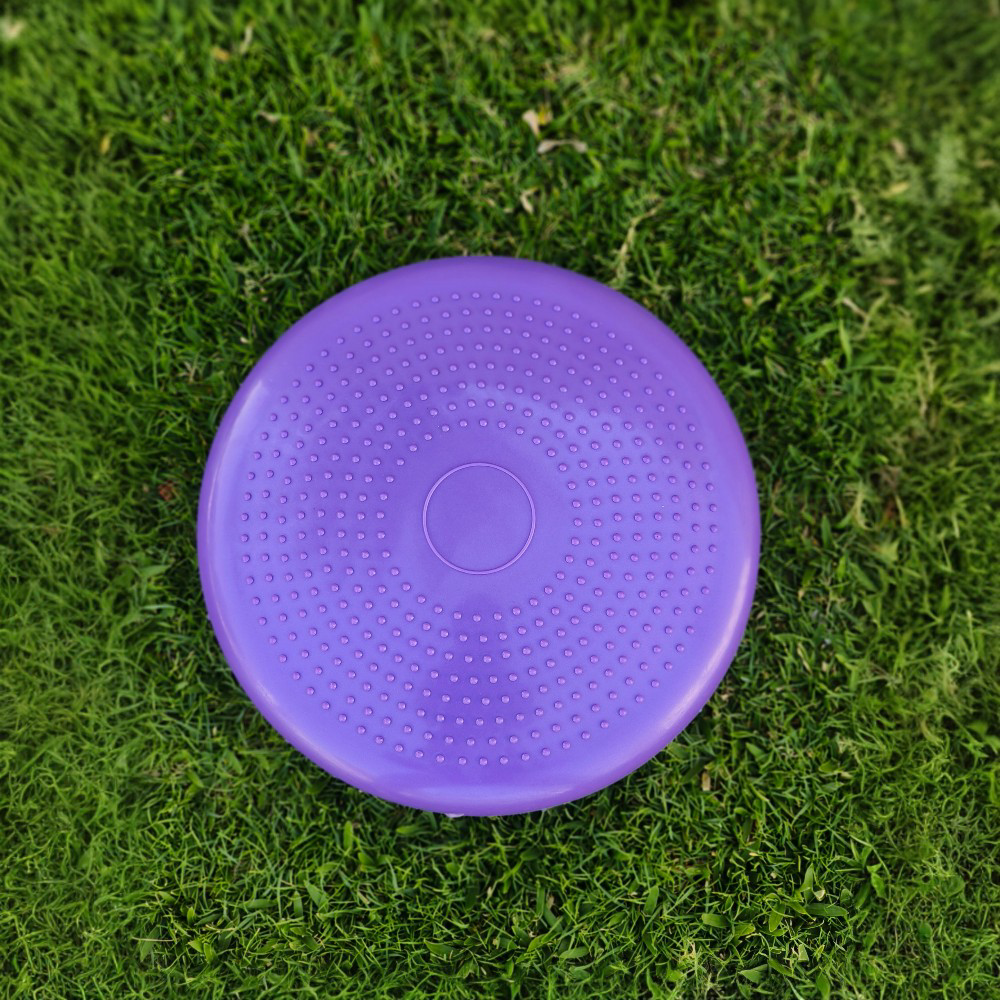 Balance Disc Pad