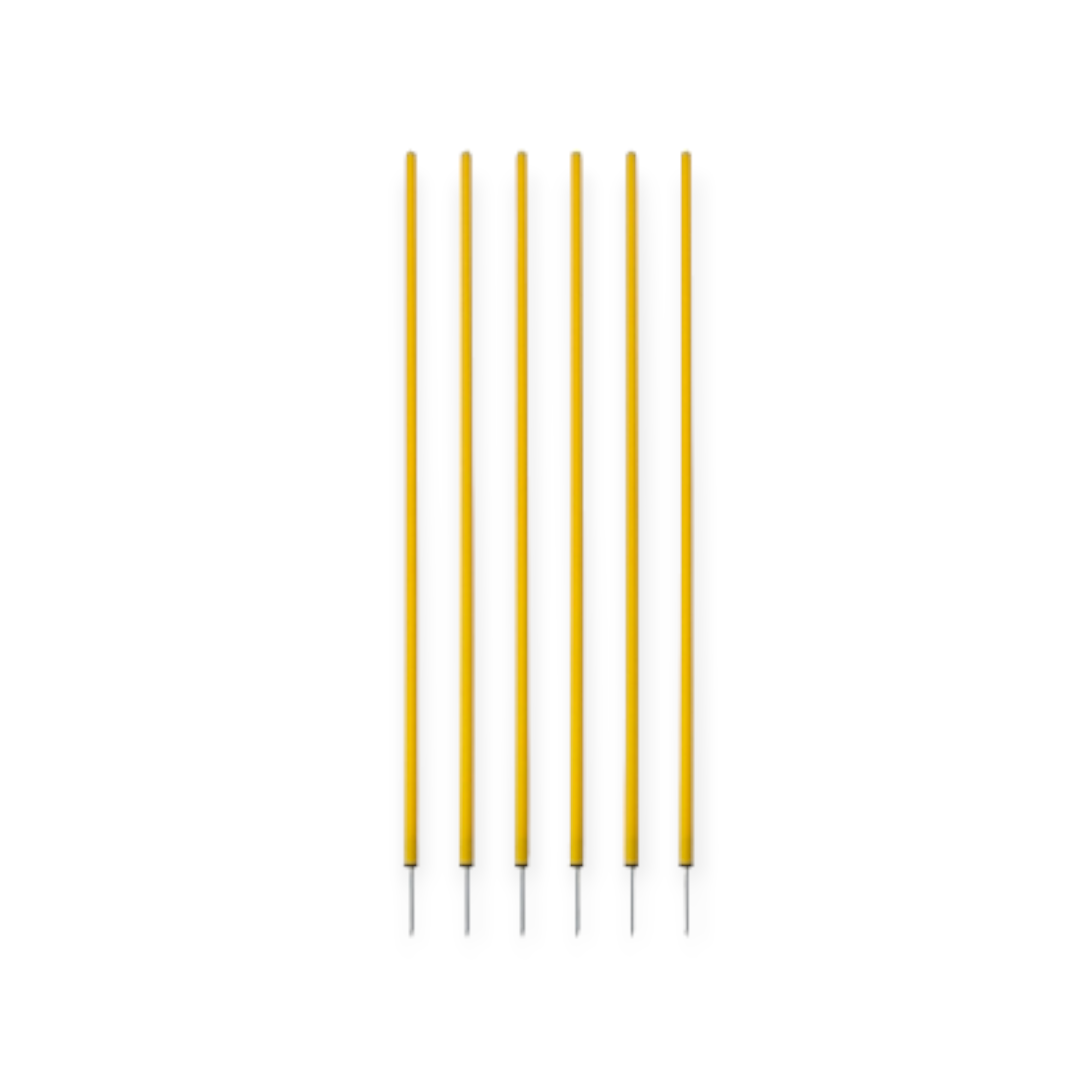 AGILITY SLALOM POLES