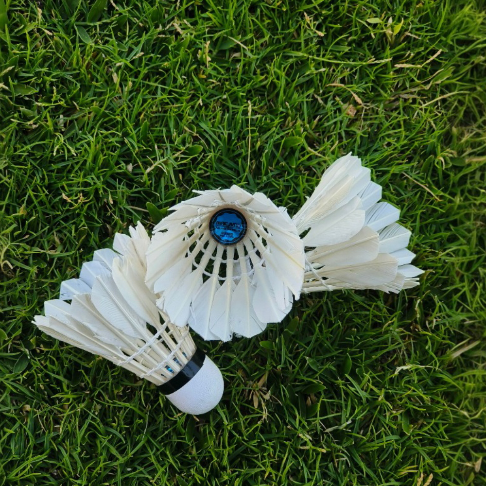 SHUTTLECOCK POWER SMASH FEATHER