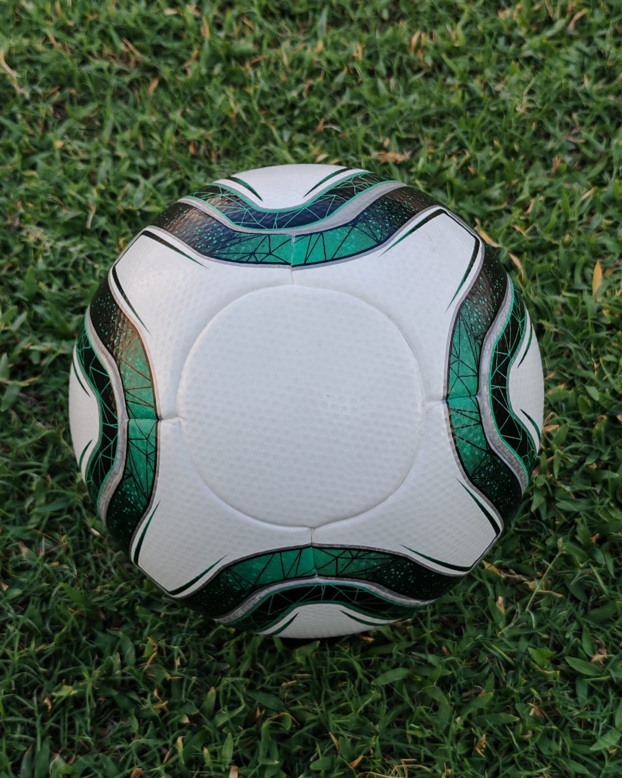 PROFESSIONAL MATCH FOOTBALL