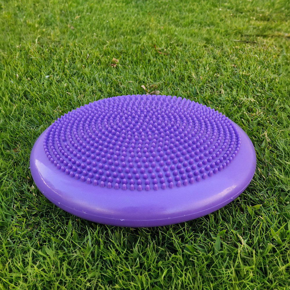Balance Cushion Disc